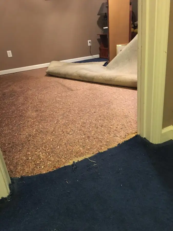 Carpet pad removal revealing water damage during Drying & Dehumidification in Bright