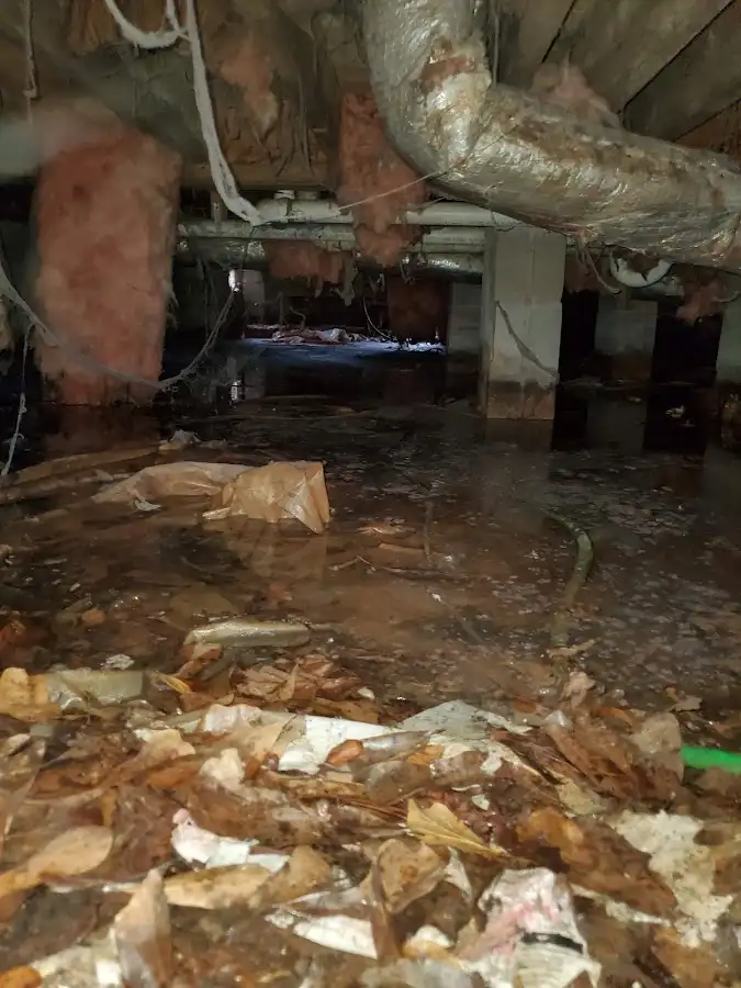 Crawl space flood assessment for Commercial Water Damage Restoration in Bright