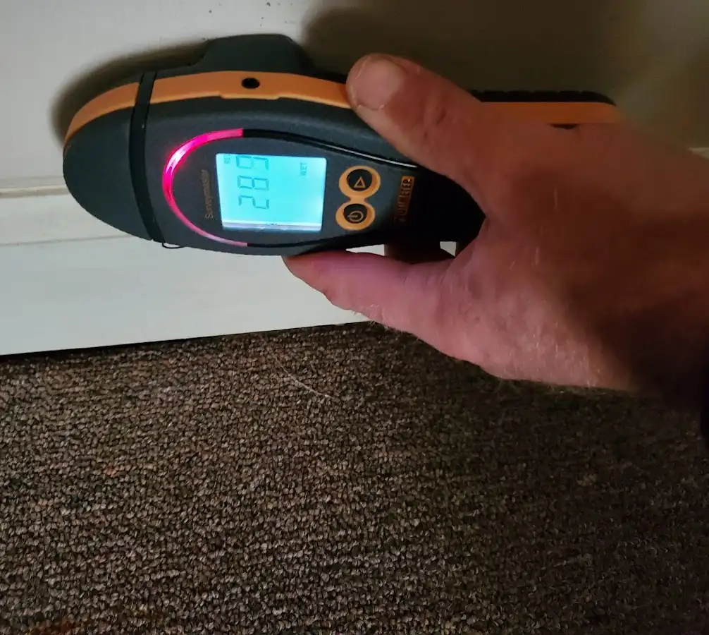 Moisture detection at baseboard during Mold Inspection & Testing in Bright